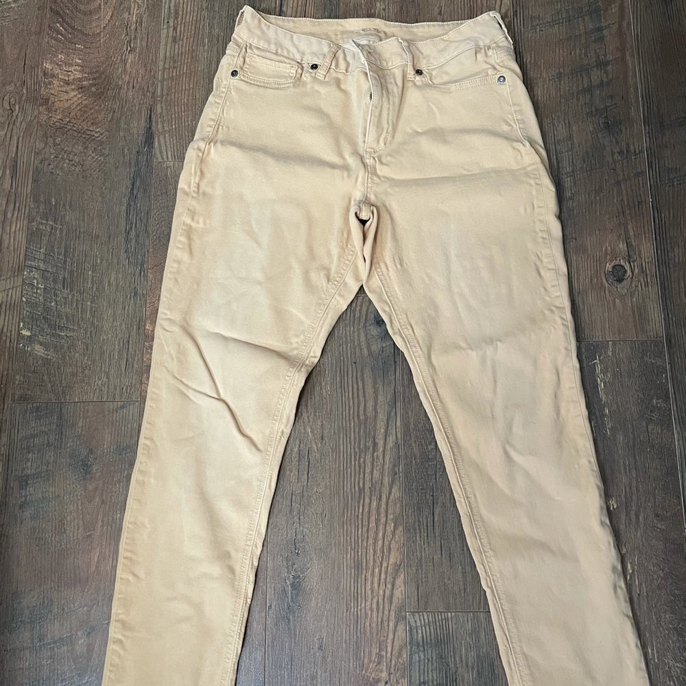 Maurices Mustard Jeggings